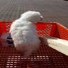 images/galerien/buntgemischt/IMG-20140912-WA0000.jpg