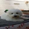 images/galerien/buntgemischt/IMG-20141001-WA0001.jpg