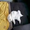 images/galerien/buntgemischt/IMG-20141001-WA0007.jpg