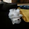images/galerien/buntgemischt/IMG-20141001-WA0009.jpg