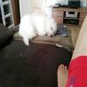 images/galerien/buntgemischt/IMG-20141003-WA0005.jpg