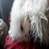 images/galerien/buntgemischt/IMG-20150223-WA0004.jpg