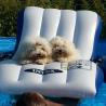 images/galerien/buntgemischt/IMG-20150813-WA0002.jpg