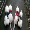 images/galerien/buntgemischt/IMG-20160131-WA0010.jpg