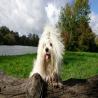 images/galerien/buntgemischt/IMG_3159.jpg