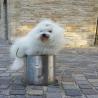 images/galerien/buntgemischt/IMG_3163.jpg