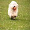 images/galerien/buntgemischt/IMG_4439.jpg