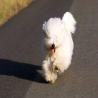 images/galerien/buntgemischt/IMG_4649.jpg