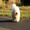 images/galerien/buntgemischt/IMG_4838.jpg