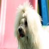 images/galerien/buntgemischt/IMG_7074.jpg